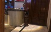 Туры в отель Cairo Hub Hostel