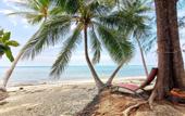 Туры в отель Beach Bungalow