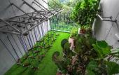 Туры в отель Ceylonz Lifestyle Suites