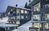 Туры в отель Ski-Inn PyhaLinna