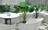 Туры в отель Flower Town Hotel & Spa