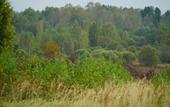 Туры в отель Lavanda Guest house