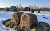 Туры в отель Lavanda Guest house
