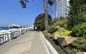 Туры в отель Apartments Panorama Park Alpha Apartments