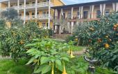 Туры в отель Meri Mini-Hotel