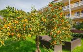 Туры в отель Meri Mini-Hotel