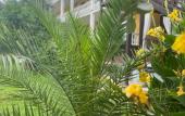 Туры в отель Meri Mini-Hotel