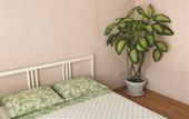 Туры в отель Shanti Guest House