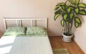 Туры в отель Shanti Guest House
