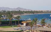 Туры в отель Marina Sharm Hotel