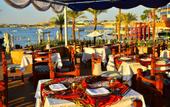 Туры в отель Marina Sharm Hotel
