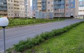 Туры в отель Comfort Flat