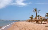 Туры в отель Nuweiba Club Resort