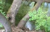 Туры в отель Ersalpark Ekin Dere Evleri