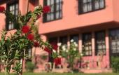 Туры в отель Hotel Palme Dalyan