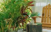 Туры в отель Punta Popy Boutique Hotel