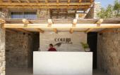 Туры в отель Collini Hotel Mykonos
