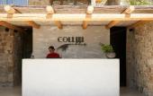 Туры в отель Collini Hotel Mykonos