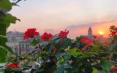 Туры в отель Cairo house - Hostel