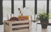 Туры в отель Villa Elite by Checkin