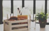 Туры в отель Villa Elite by Checkin