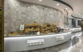 Туры в отель Hampton by Hilton Istanbul Arnavutkoy