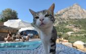 Туры в отель Kabak Freedom Deluxe Hotel