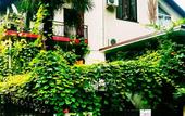 Туры в отель Palma Guest House