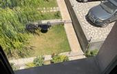 Туры в отель Decca Hotel