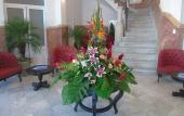 Туры в отель Hotel E Sagua