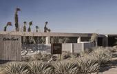 Туры в отель Casa Cook North Coast -  Adults only