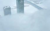 Туры в отель The Ritz-Carlton, Harbin