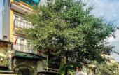 Туры в отель The West Hotel & Spa