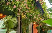 Туры в отель Snob Athens