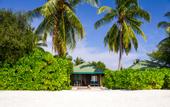 Туры в отель Canareef Resort Maldives