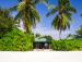 Туры в Canareef Resort Maldives