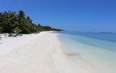Туры в отель Canareef Resort Maldives