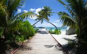 Туры в отель Canareef Resort Maldives