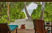 Туры в отель Canareef Resort Maldives