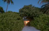 Туры в отель Canareef Resort Maldives