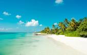 Туры в отель Canareef Resort Maldives