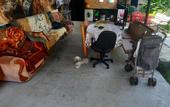 Туры в отель Bamboo Garden living quarters
