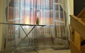 Туры в отель Morskoy Yakor Living quarters