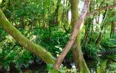 Туры в отель Aqua resort Dacha Resort