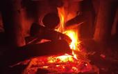 Туры в отель Polonezkoy Country Club & Accommodation in the Wildlife Park!