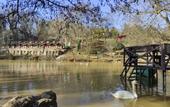 Туры в отель Polonezkoy Country Club & Accommodation in the Wildlife Park!