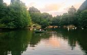 Туры в отель Polonezkoy Country Club & Accommodation in the Wildlife Park!