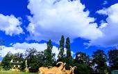 Туры в отель Polonezkoy Country Club & Accommodation in the Wildlife Park!