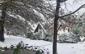 Туры в отель Polonezkoy Country Club & Accommodation in the Wildlife Park!