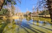 Туры в отель Polonezkoy Country Club & Accommodation in the Wildlife Park!